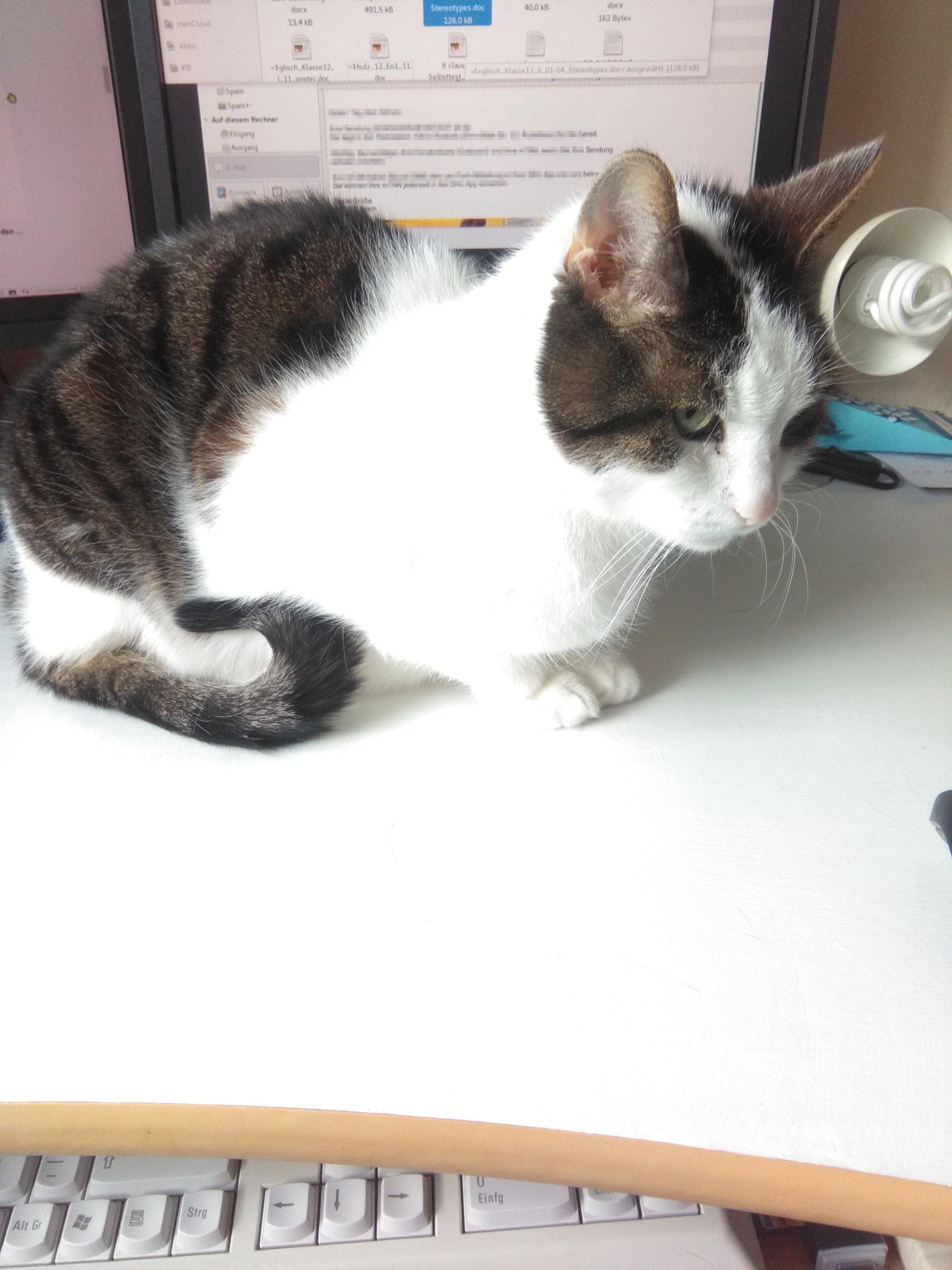 tglKb254