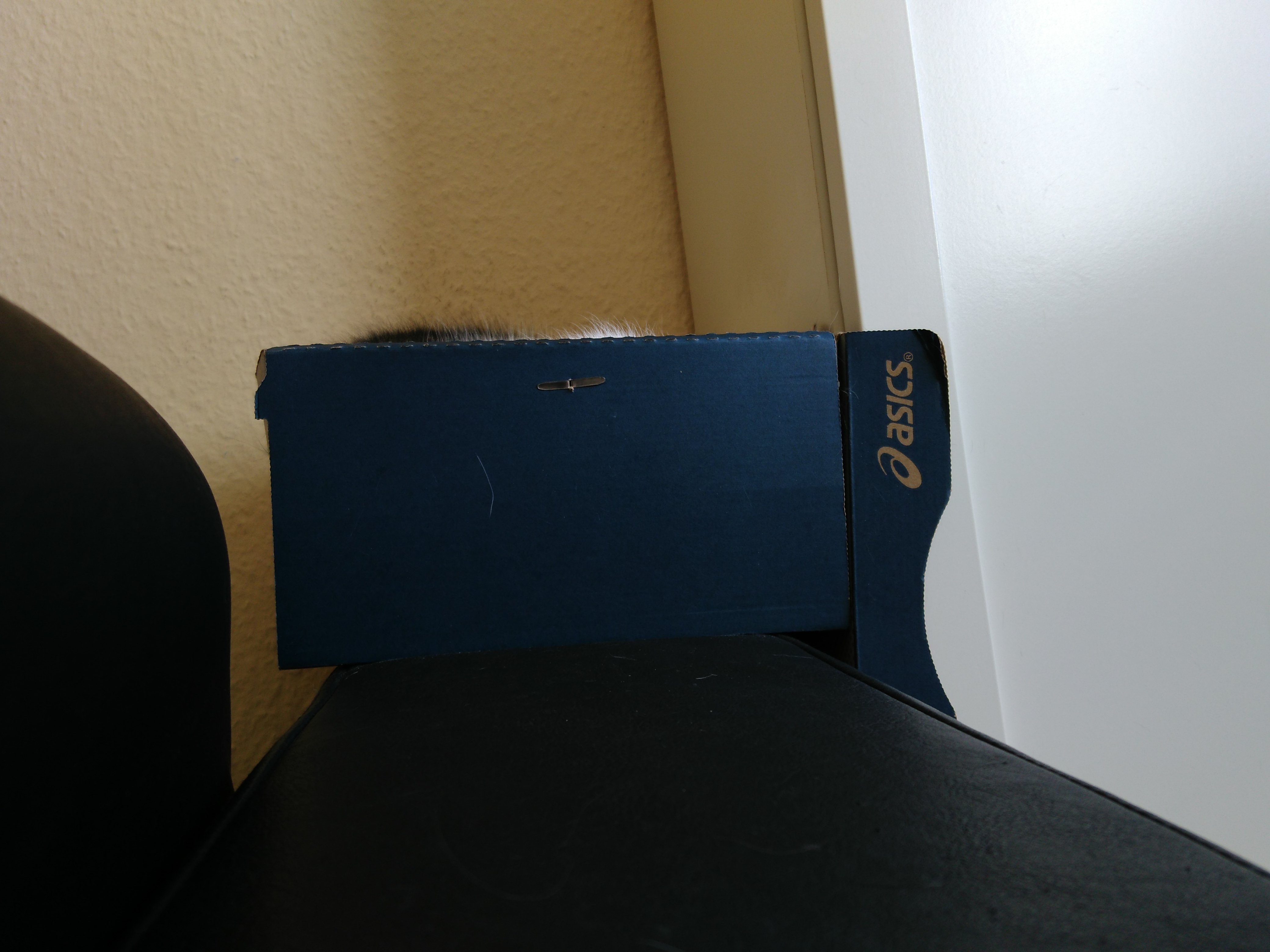 tglKb591