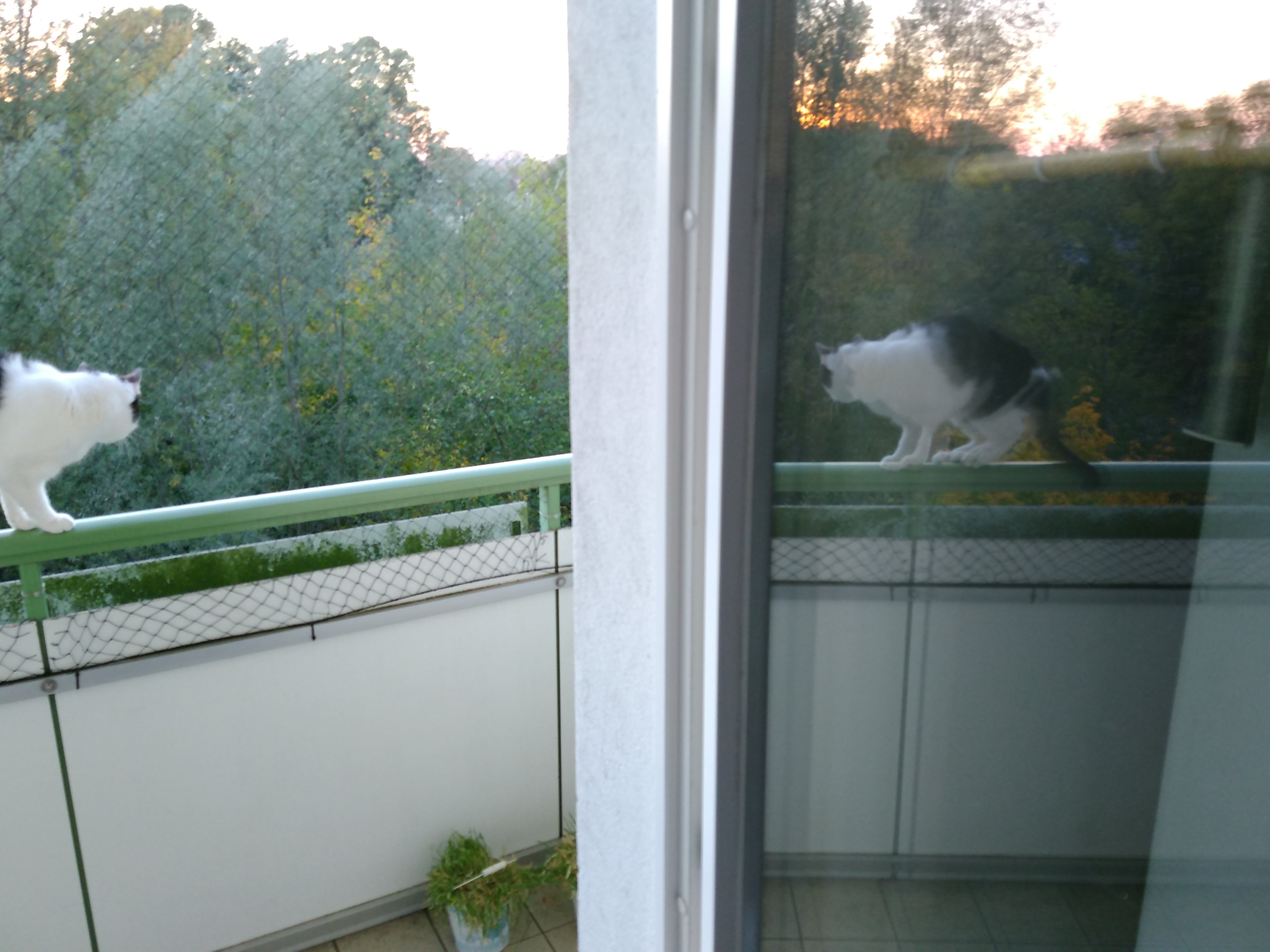 tglKb787