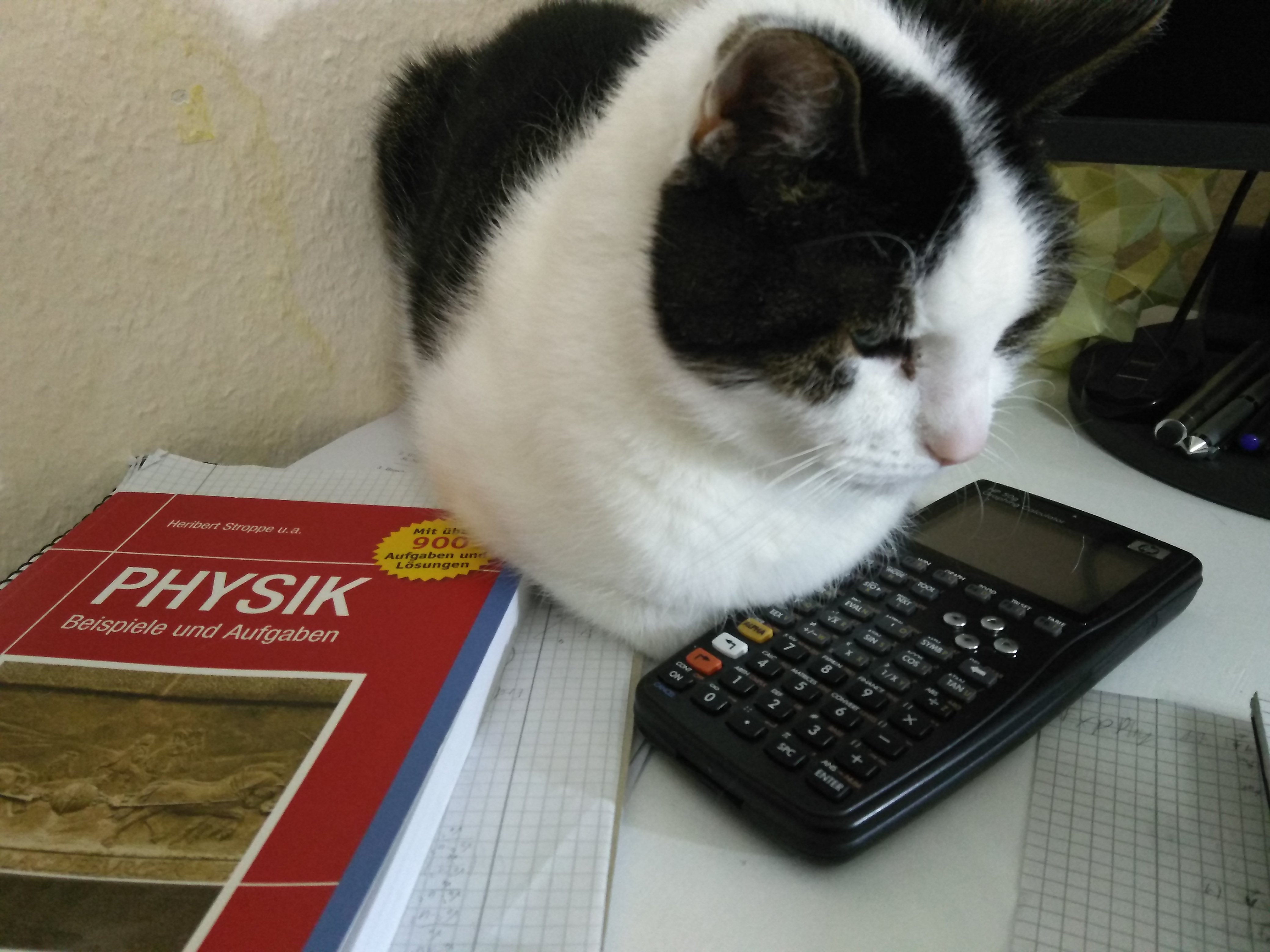 tglKb848