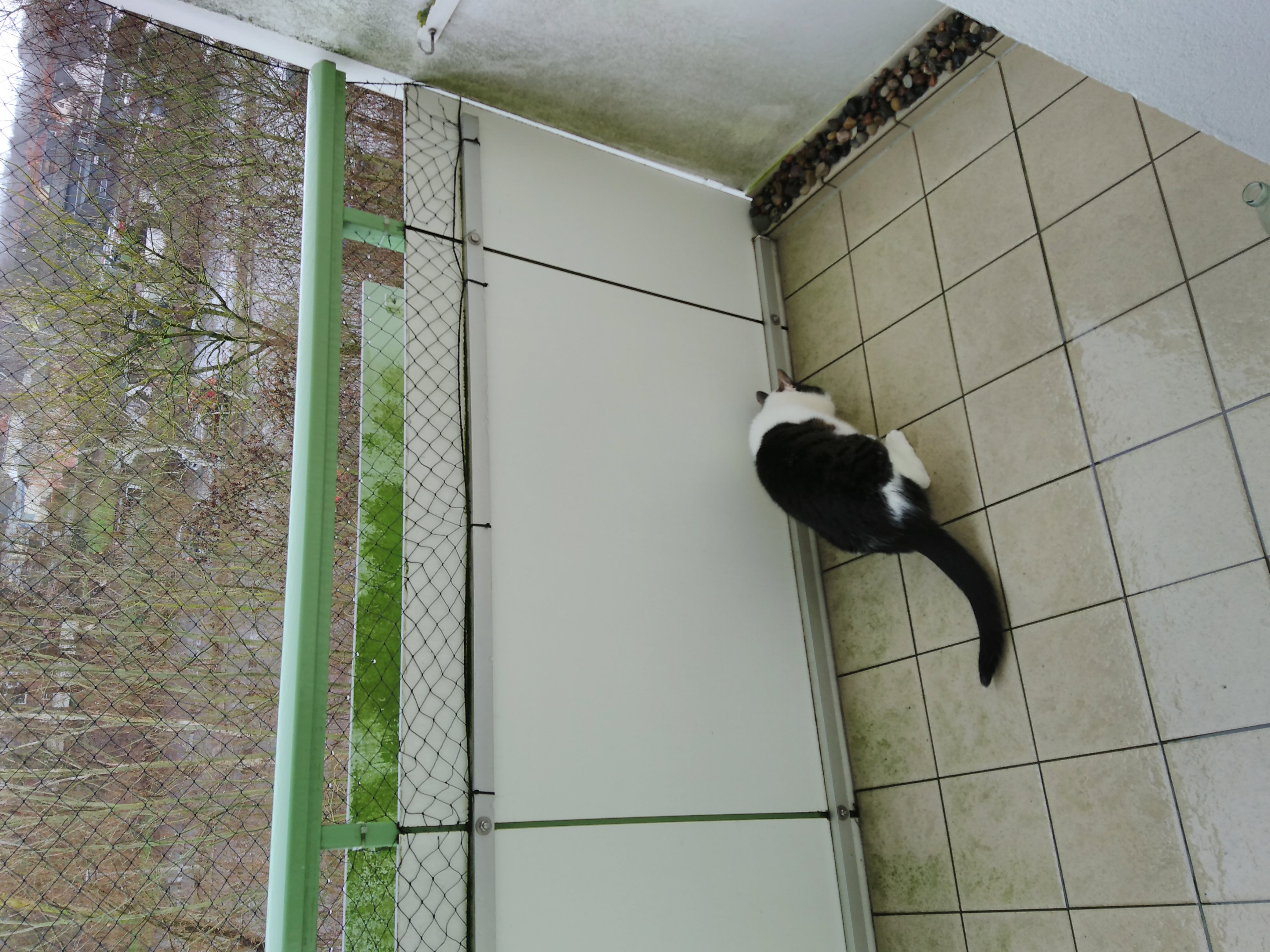 tglKb1266