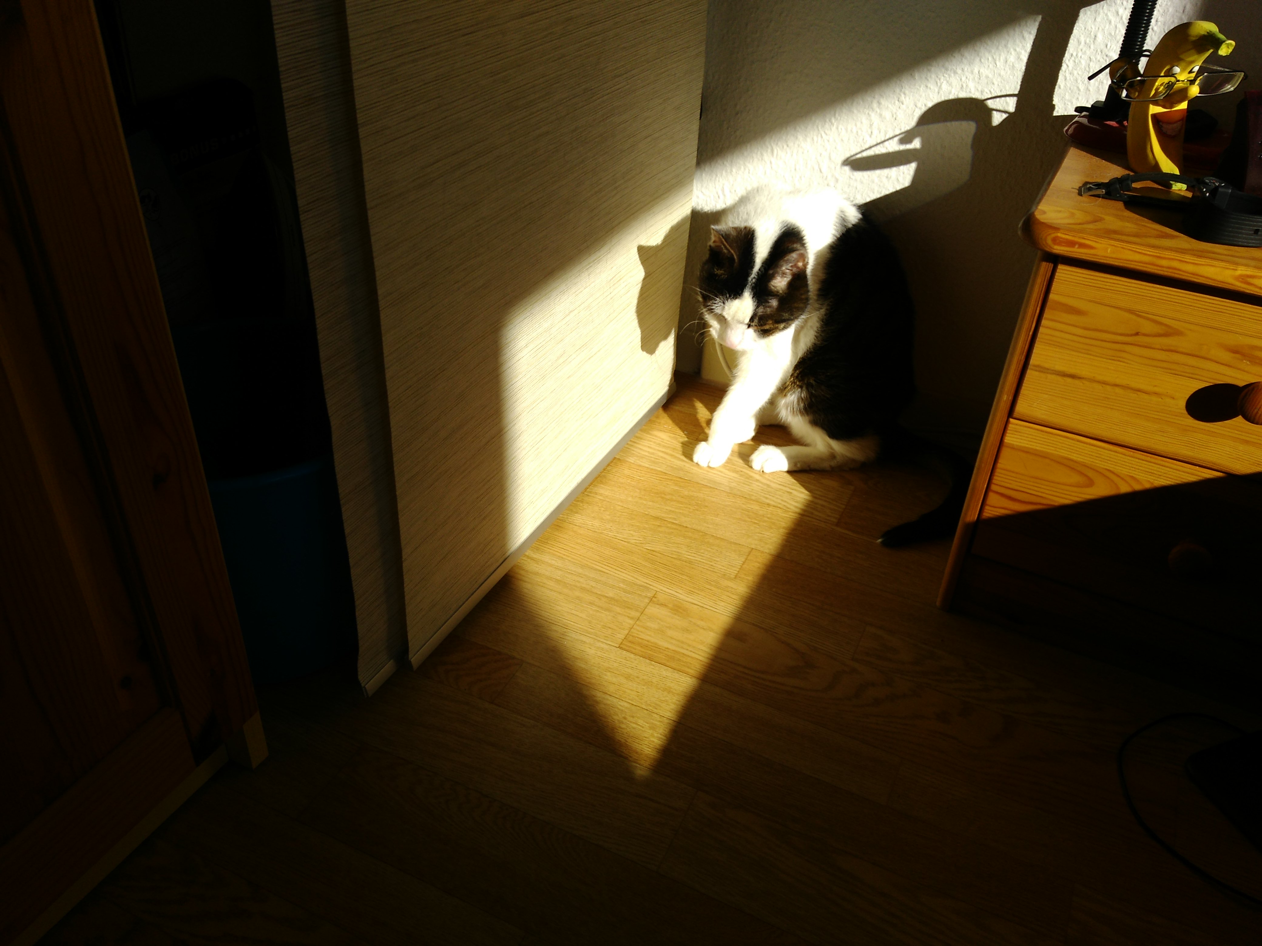 tglKb1370