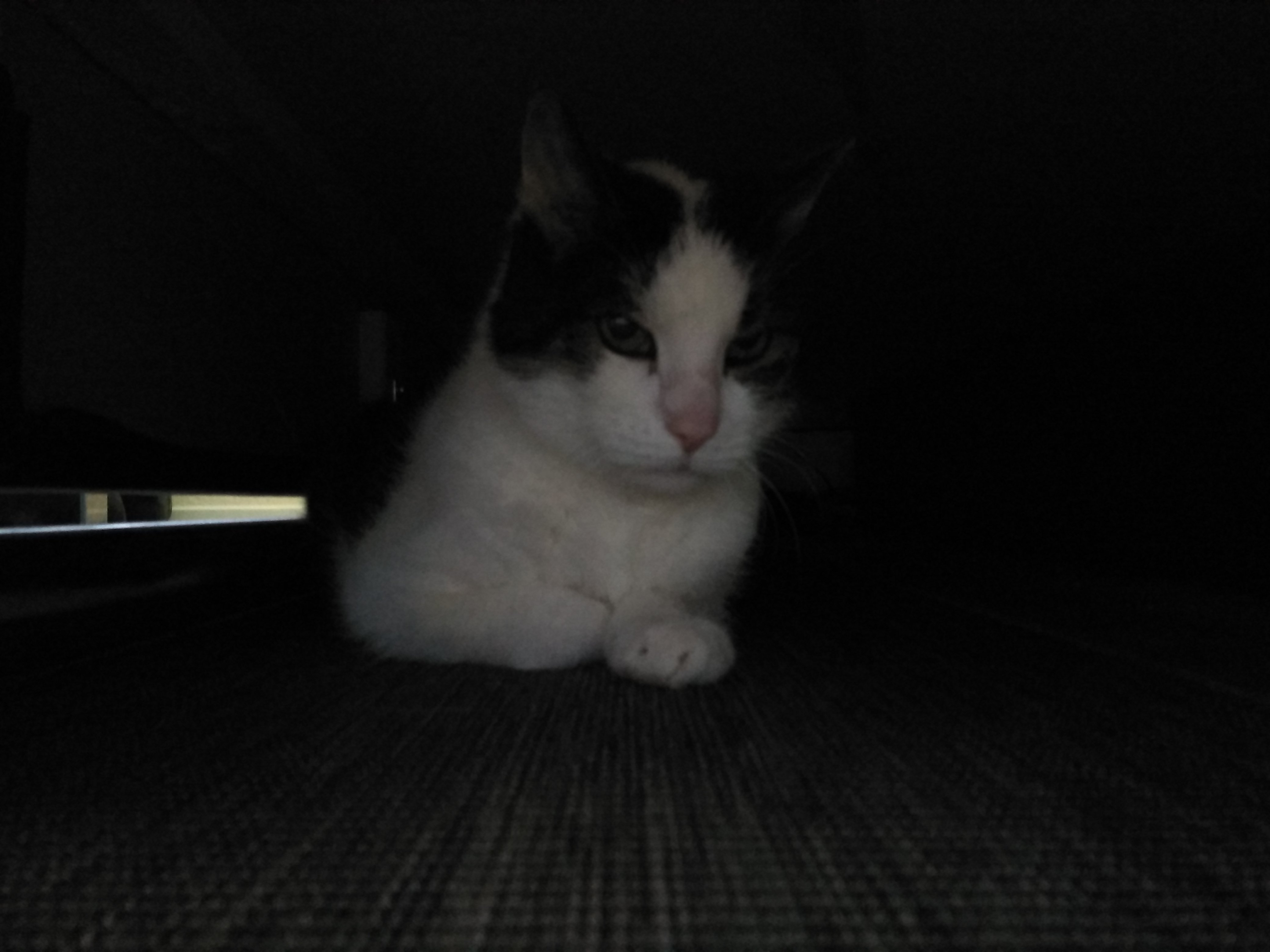 tglKb1405