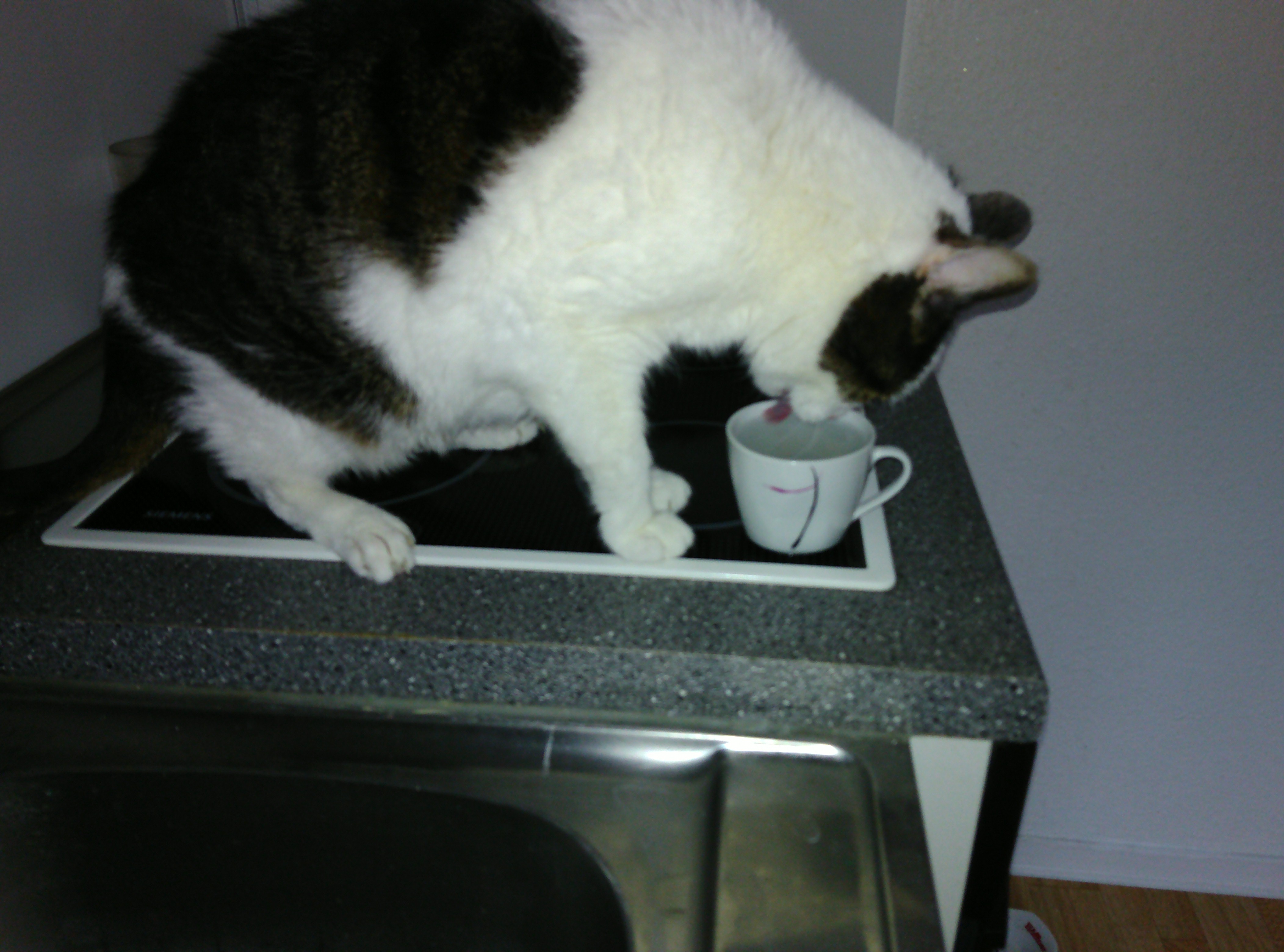 tglKb1992
