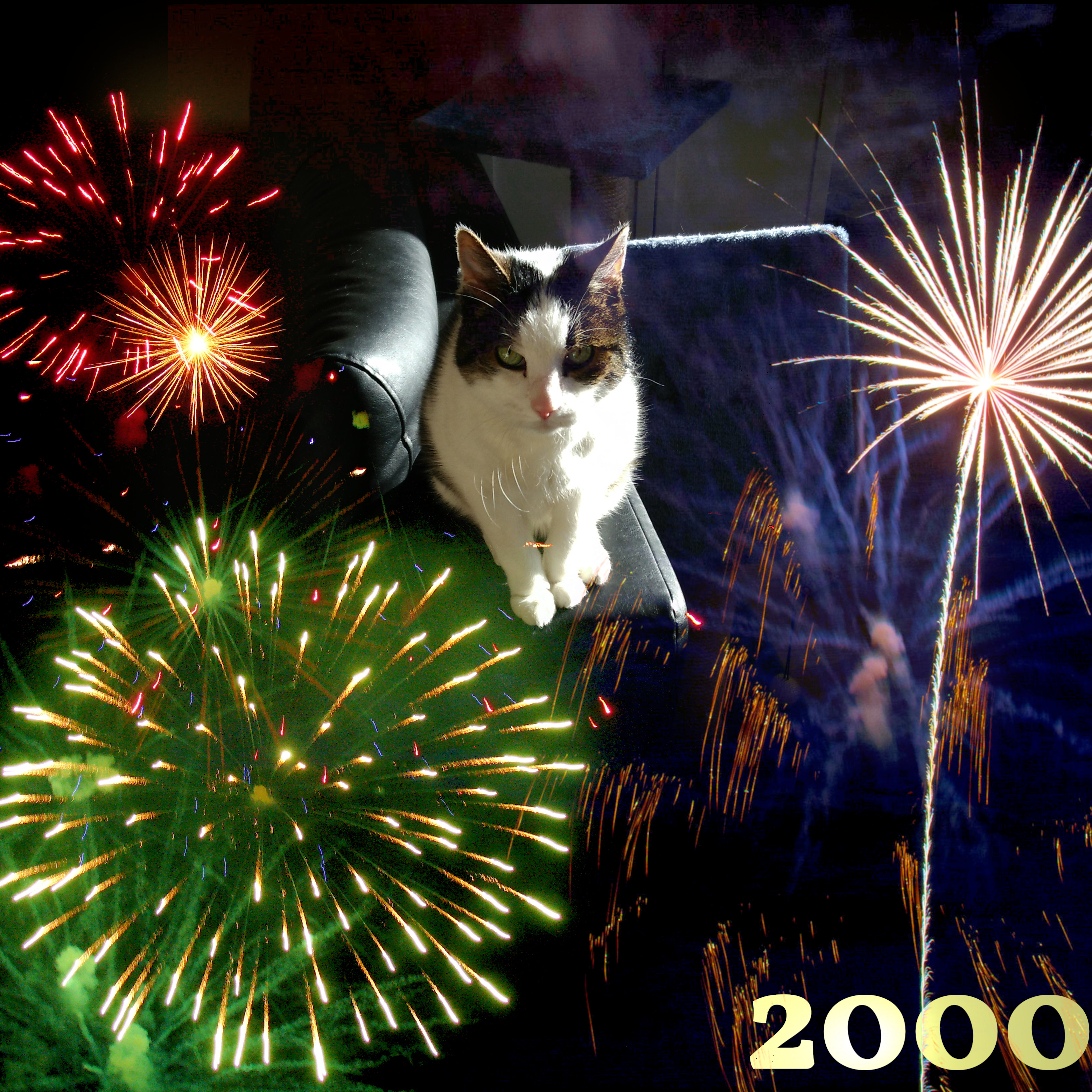 tglKb2000